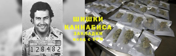 стафф Аркадак