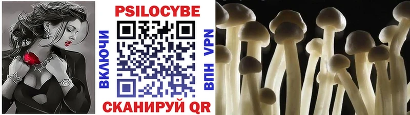 Купить где  Барабинск  Псилоцибиновые грибы мухоморы 